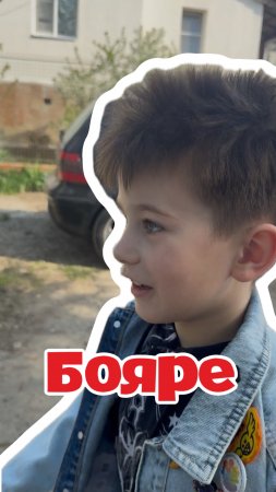 Бояре - это…