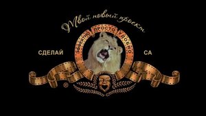 Заставка со львом
