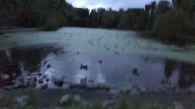 Секьюрити из Чечни спас нас СКОРО смотреть онлайн