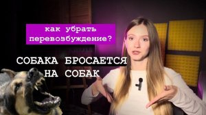 Кейс из практики КИНОЛОГА: броски на людей/собак