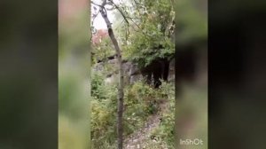 Белокуриха. Гора Церковка