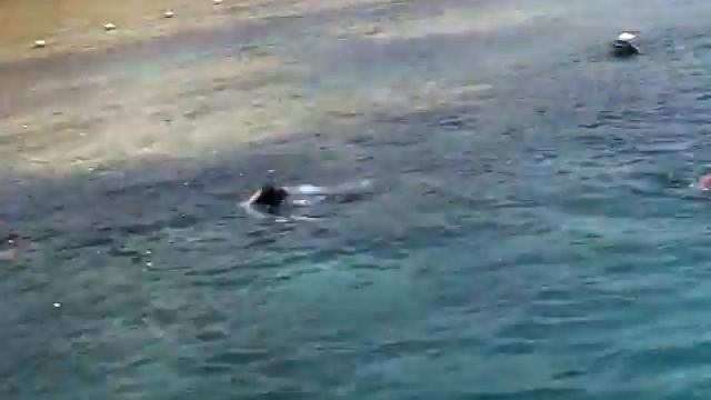 Royal Rojana Resort 2011 год.(2 часть) смотреть онлайн