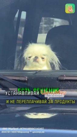 Знаем как исправить
