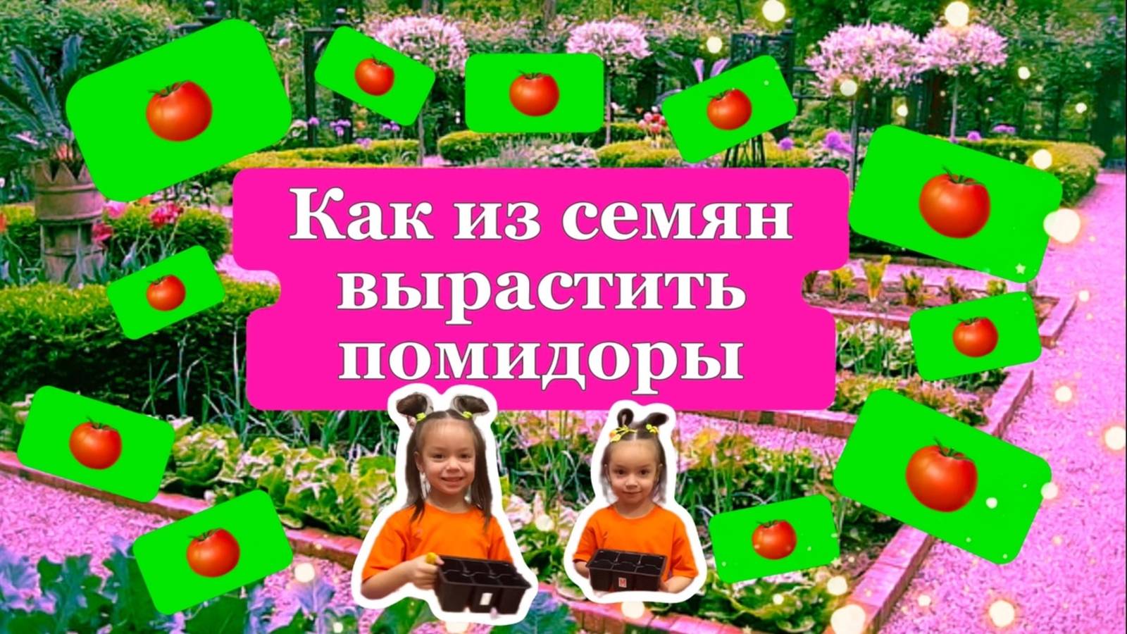 Как правильно вырастить помидоры из семян. Огород. Сажаем огород. Огород для начинающих.