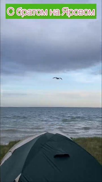 С братом на Яровом смотреть онлайн