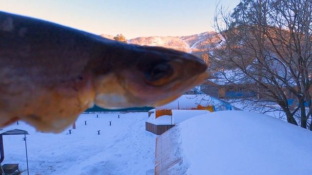 Короткая версия поездки в Манжерок смотреть онлайн