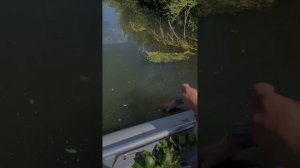 Рыбалка в Пензенской области на реке Сердоба, немного поймали щук