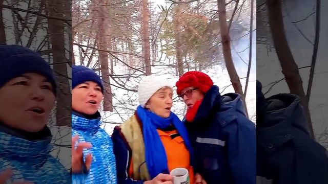 В сосняке декабрь2020 смотреть онлайн