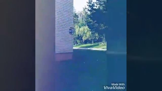 Обзор смотреть онлайн