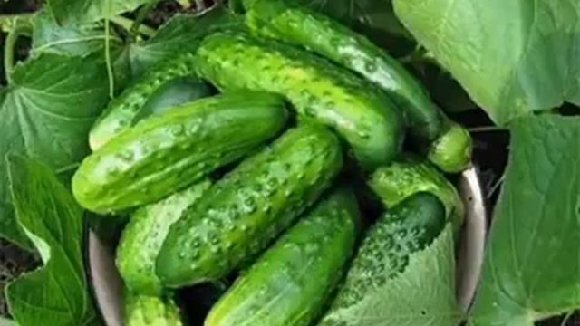 Отличный самодельный состав от болезней растений детальна інформація в описах смотреть онлайн