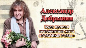Куда ПРОПАЛ Александр Добрынин, кумир миллионов \ Как живёт Александр Добрынин сегодня