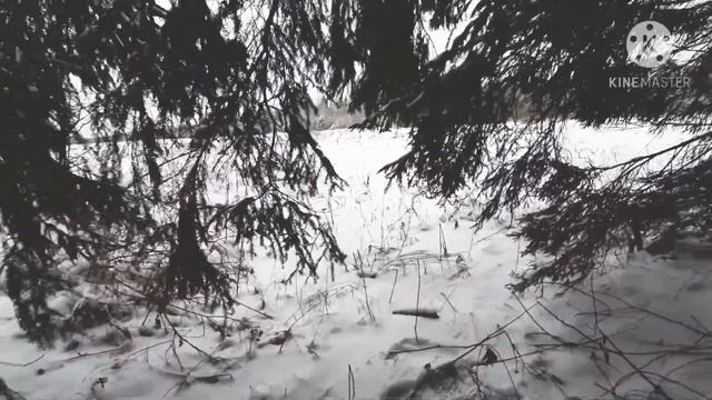 Прогулка по зимнему лесу. смотреть онлайн