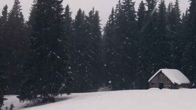 Гірськолижний курорт Драгобрат смотреть онлайн