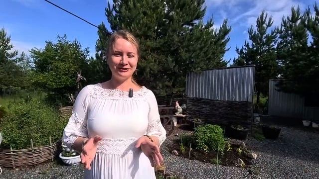 Отзыв участницы ретрита Елена Ян. Ирина Орда