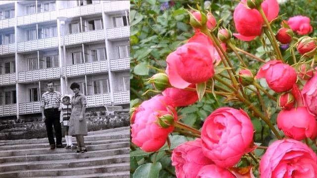 Санаторий  Строитель.