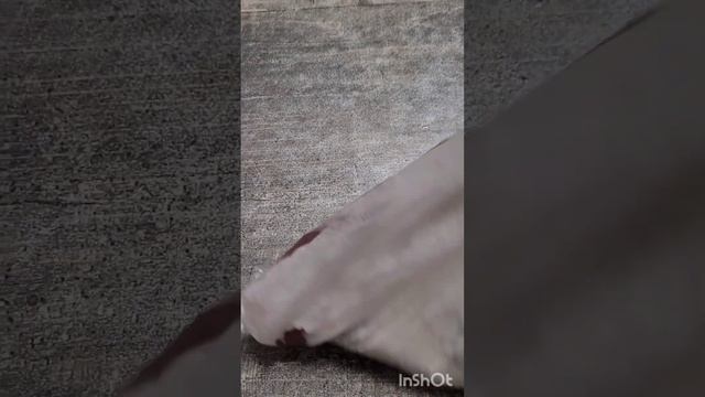 Нежнейшая печень индейки с розмарином и абрикосами, готовим дома, как в ресторане #печеньиндейки