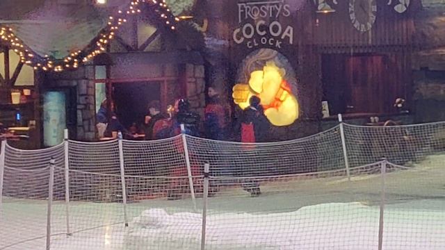 Зима в ТЦ. Эмираты. 2019 смотреть онлайн