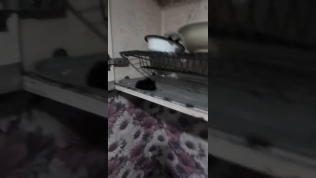 Так живёт бывшая моя свекровь, уважаемая женщина, города верхнего уфалея Лаптева Наталья Николаевна смотреть онлайн