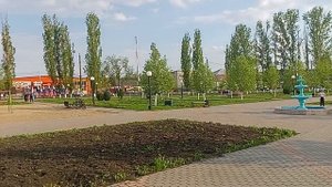Таловая парк Солнечный 25-04-2025