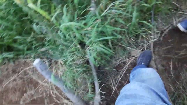 Едем на водопад "Снежный барс" (спокойный). Камчатка. смотреть онлайн