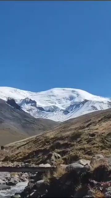 Лепота смотреть онлайн