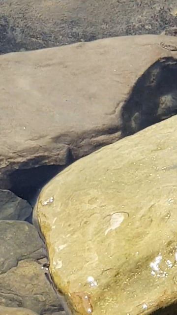 Анапа. Море. Пляж Высокий берег. 2 сентября 2022 г. смотреть онлайн