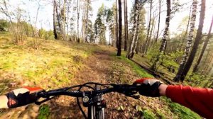 Спуск с горы Круглая, трейл "Горыныч", Белокуриха, велопарк "Белка в колесе"