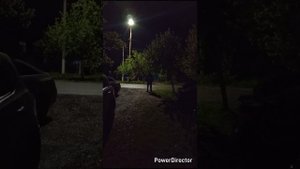 ездили к одному из близнецов в часть//отправили второго близнеца в армию//репетиция