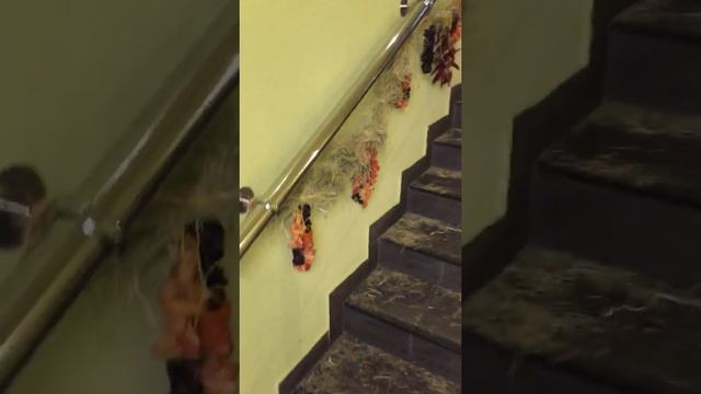 Пиросмани химки 🇬🇪 смотреть онлайн