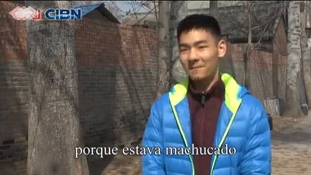 Династия семьи Чэнь