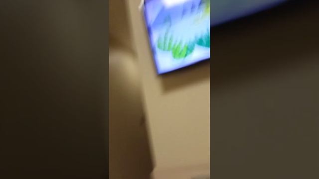 Обзор номера. Курорт Кука. смотреть онлайн