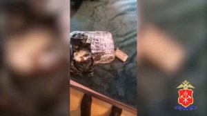 В_Кузбассе_задержана_ОПГ_из_13_наркоторговцев