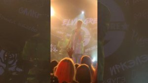 Элвин Грей Уфа Максимилианс