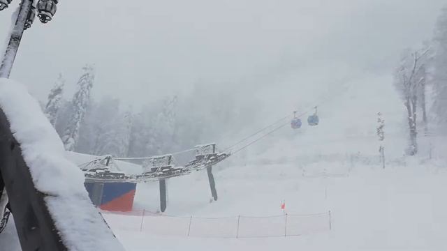 19.01.2021 курорт Красная Поляна смотреть онлайн