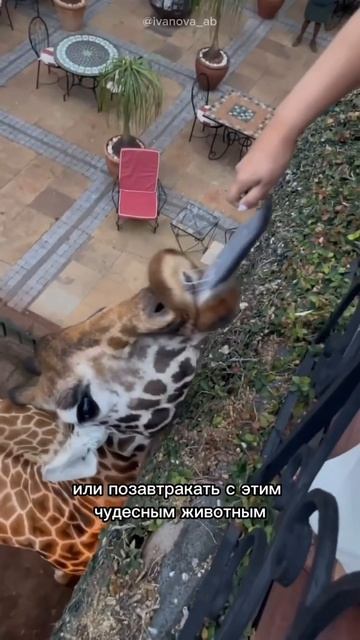 А Вы бы хотели побывать в этом отеле? #путешествия #отели смотреть онлайн