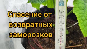 🔥 Греющий кабель в теплице – спасение от заморозков! Простое решение для защиты растений