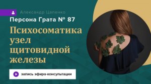 Запись эфира "Персона Грата № 87"