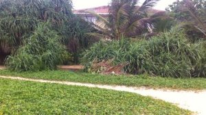 16. Пляж Отеля Heritance Ahungalla 5* (Ahungalla, Sri Lanka)