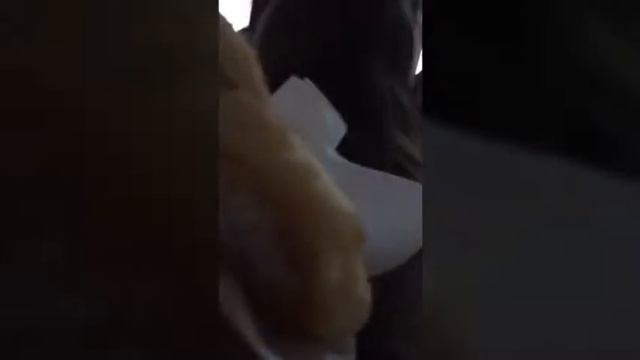 #едааа Школьная столовая, когда голодная... 😂 смотреть онлайн