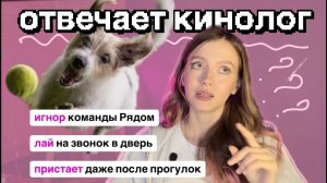 Лай на дверь, игнор Рядом, приставучесть: ответы КИНОЛОГА на ВАШИ вопросы