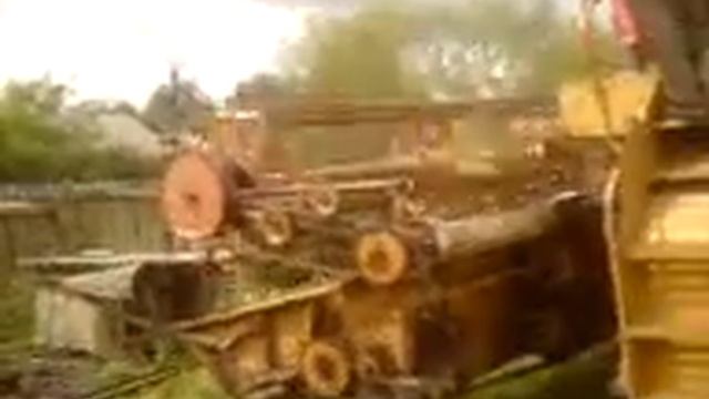 bizon tomek b смотреть онлайн