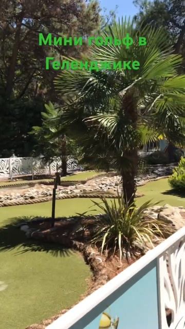 #новости #лето #путешествия #парк #геленджик #2023#минигольф смотреть онлайн