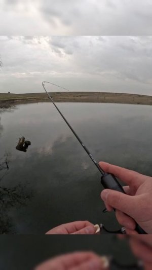 Рыбалка мормышинг
