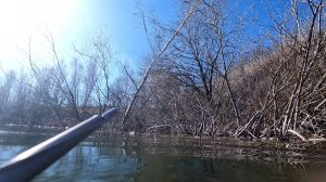 Дневной свет