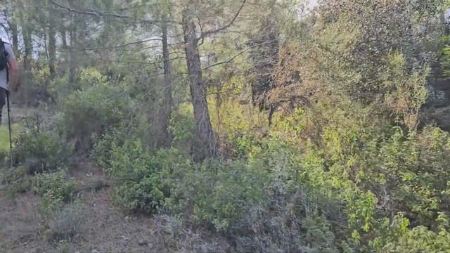 Изба в Кипрском лесу! Худеем вместе! Трейл по Кипру! Ресторан на набережной! #кипр #paphos #cyprus смотреть онлайн