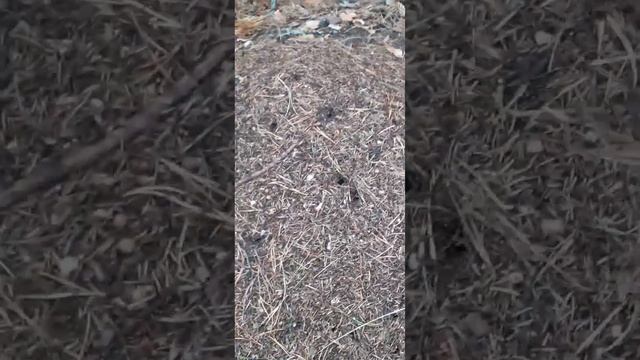 Красота естественной природы в санатории Карагай. Башкортостан . Россия. #отдыхвбашкортостане смотреть онлайн