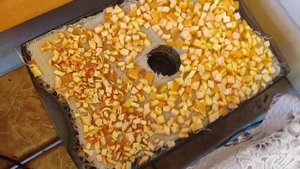 ЧТО ДЕЛАТЬ С КОЖУРОЙ ОТ ЛИМОНА, АПЕЛЬСИНА И ГРЕЙПФРУТА? 🍊🍋