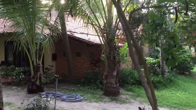 Идём завтракать дессоле смотреть онлайн