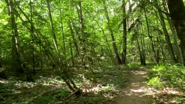 Суседзi 2024 | XCM полумарафон 47 км (2 круга) | Часть 3 смотреть онлайн