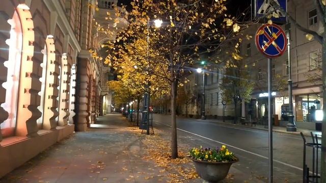Вильнюс.Осень.Вечер. смотреть онлайн